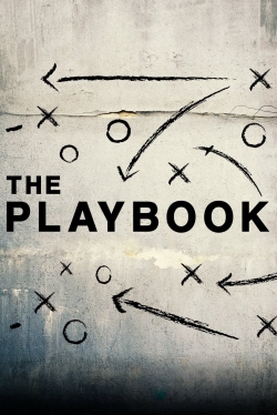 The Playbook-123movies