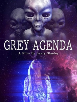 Grey Agenda-123movies