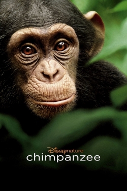 Chimpanzee-123movies
