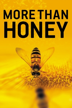 More Than Honey-123movies
