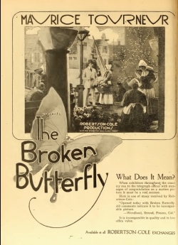 The Broken Butterfly-123movies
