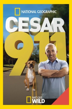 Cesar 911-123movies