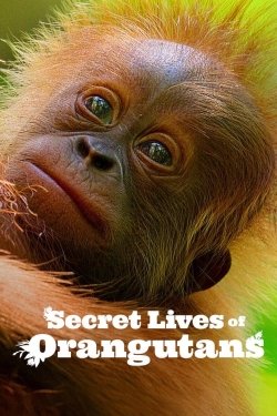 Secret Lives of Orangutans-123movies