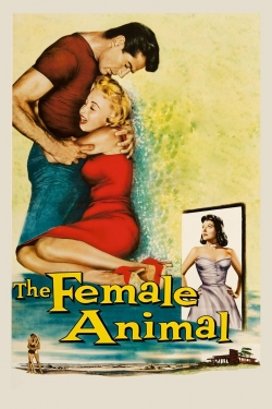 The Female Animal-123movies