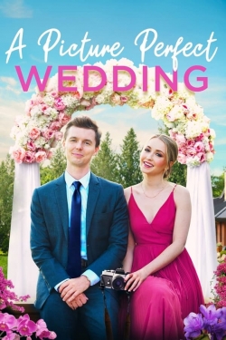 A Picture Perfect Wedding-123movies
