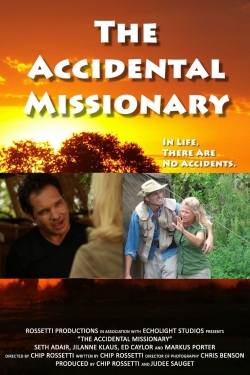 The Accidental Missionary-123movies
