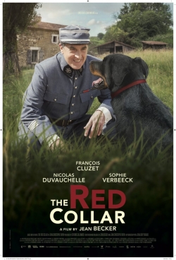 The Red Collar-123movies