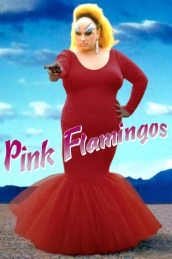 Pink Flamingos-123movies