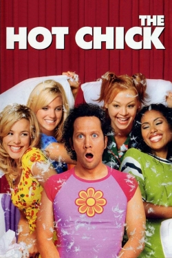 The Hot Chick-123movies