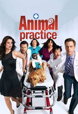 Animal Practice-123movies