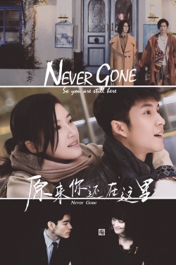 Never Gone-123movies