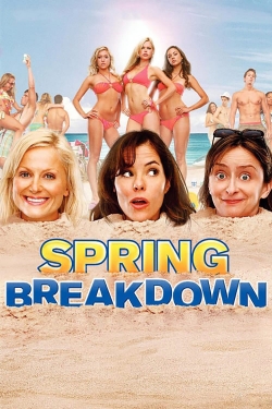 Spring Breakdown-123movies