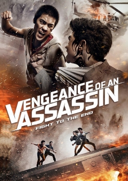 Vengeance of an Assassin-123movies