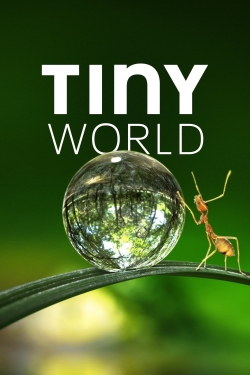 Tiny World-123movies