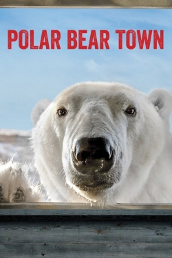 Polar Bear Town-123movies