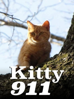 Kitty 911-123movies