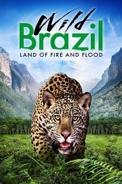 Wild Brazil-123movies