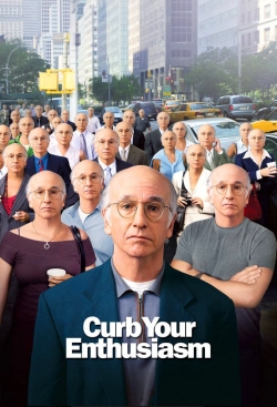 Larry David: Curb Your Enthusiasm-123movies