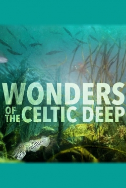 Wonders of the Celtic Deep-123movies