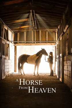 A Horse from Heaven-123movies