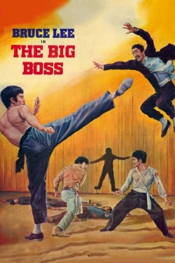 The Big Boss-123movies