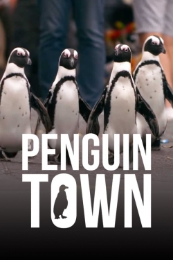 Penguin Town-123movies