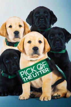 Pick of the Litter-123movies