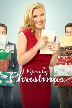 Open by Christmas-123movies